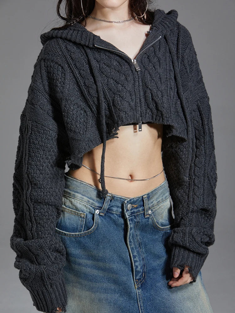 Hooded Ripped Full Sleeve Loose Crop Sweater