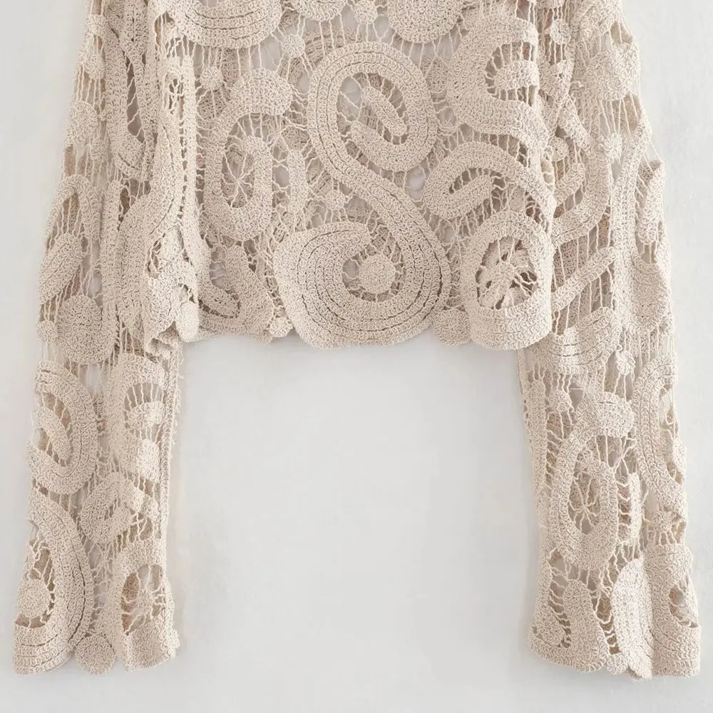 Cropped Semi-Sheer Crochet Knit Pullover Top