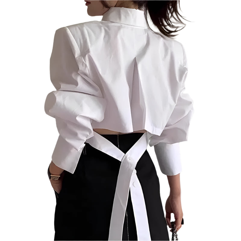 Cropped Turn-down Collar Long Sleeve Blouse