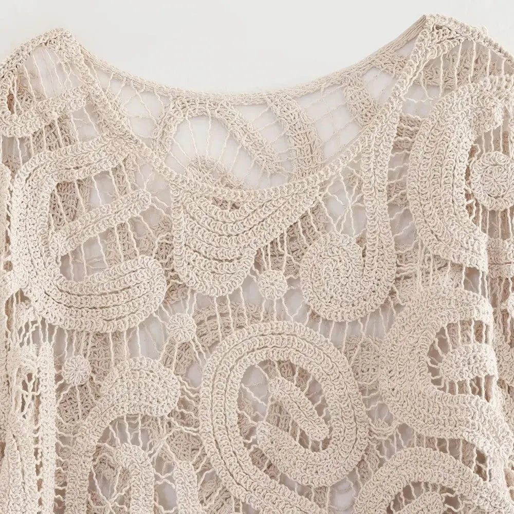 Cropped Semi-Sheer Crochet Knit Pullover Top